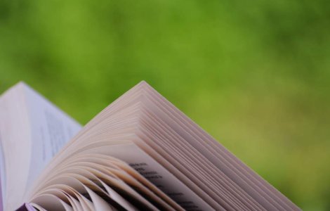 Oratoria ar putea fi studiata in gimnaziu si liceu