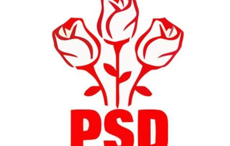 Decebal Fagadau, reales in unanimitate presedinte al PSD Constanta