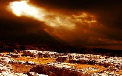 Cercetatorii americani vor sa...