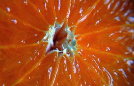 Studiu: Sucul de citrice, asociat cu melanomul