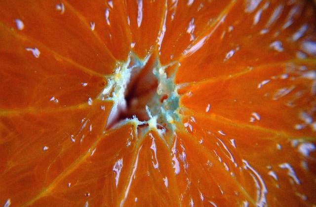 Studiu: Sucul de citrice, asociat cu melanomul