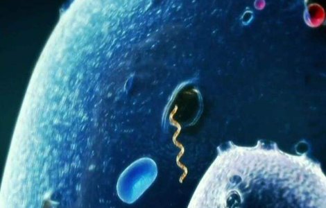 Liberia: Noi masuri de carantina, dupa ce un adolescent a murit de Ebola