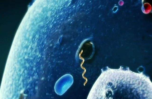 Liberia: Noi masuri de carantina, dupa ce un adolescent a murit de Ebola