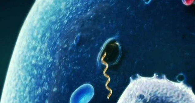 Liberia: Noi masuri de carantina, dupa ce un adolescent a murit de Ebola
