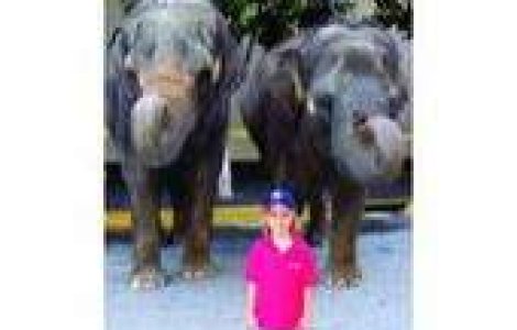 La sapte ani, urca pe Kilimanjaro