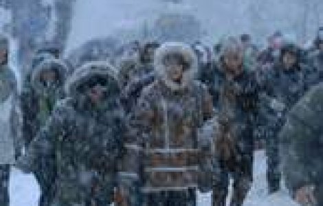 BGS, in ajutorul romanilor blocati in Bulgaria