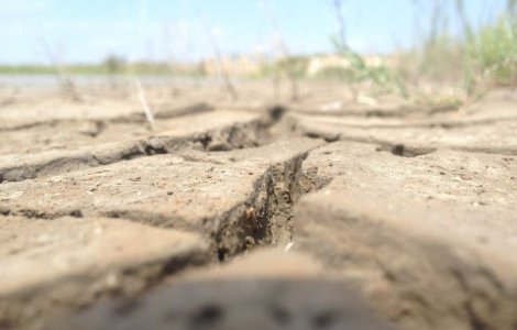 Posibil COD ROSU de canicula in vestul si nord-vestul tarii