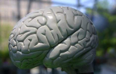 Medic: Activitati fizice si intelectuale zilnice, alimentatie sanatoasa - protectie pentru creier