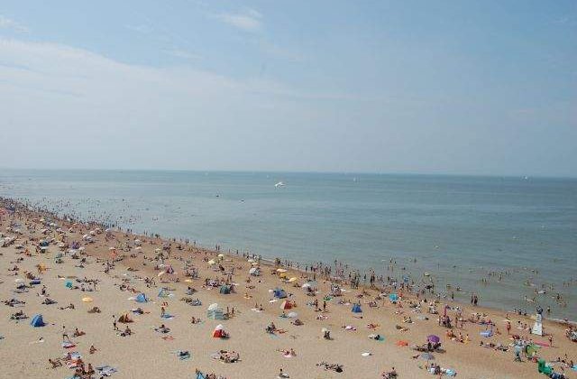 Ai stat prea mult la plaja? Cele mai la indemana remedii pentru ARSURILE solare