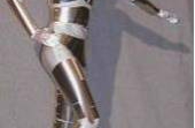 Peste 42 de ani, vom face sex cu robotii