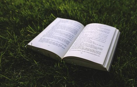 Biblioteci in aer liber, amenajate in locuri publice din Capitala