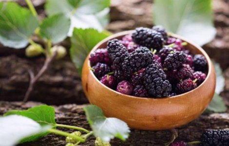  Top  Adevarate BOMBE de nutrienti! Beneficiile NESTIUTE ale dudelor