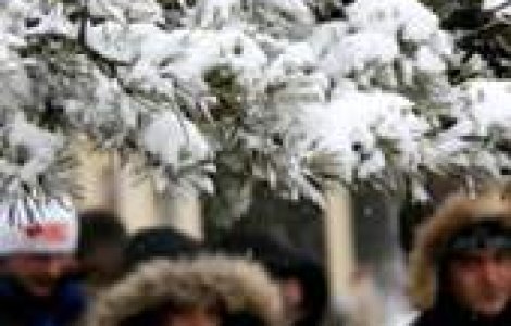 Cod 'alb': Se intorc zapezile
