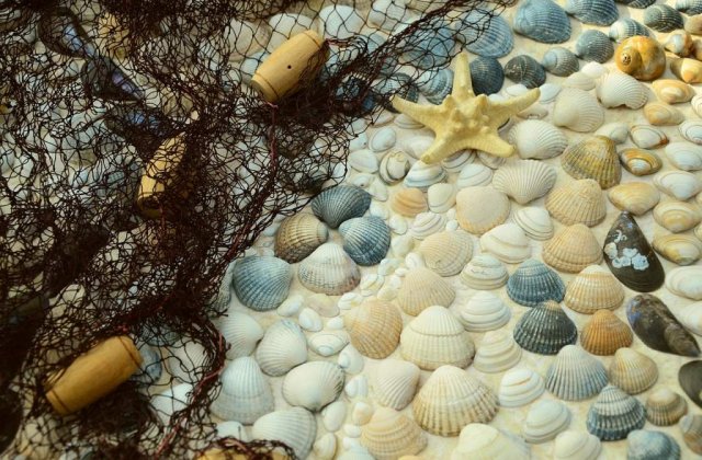 Te pandesc la tot pasul! Pericole de care TREBUIE sa te feresti vara