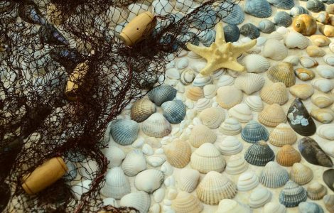  Top  Te pandesc la tot pasul! Pericole de care TREBUIE sa te feresti vara