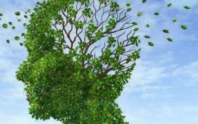 Accidental sau intentionat!...