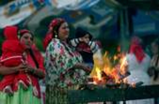 Tigani la toata Romania