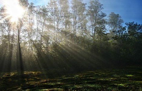 Cod galben de CANICULA si disconfort termic, in urmatoarele ore