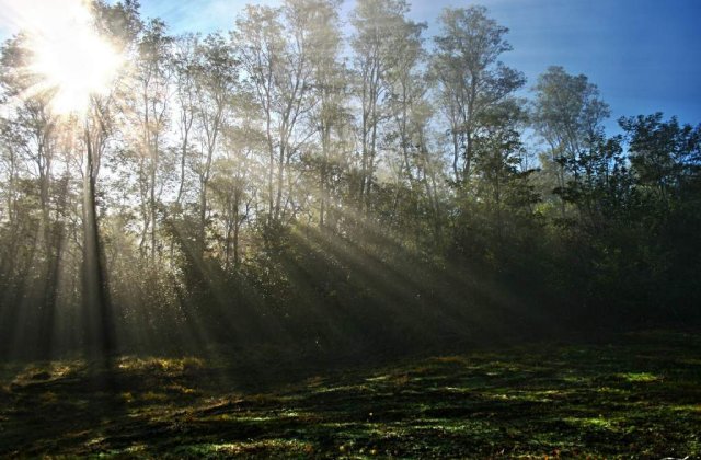 Cod galben de CANICULA si disconfort termic, in urmatoarele ore