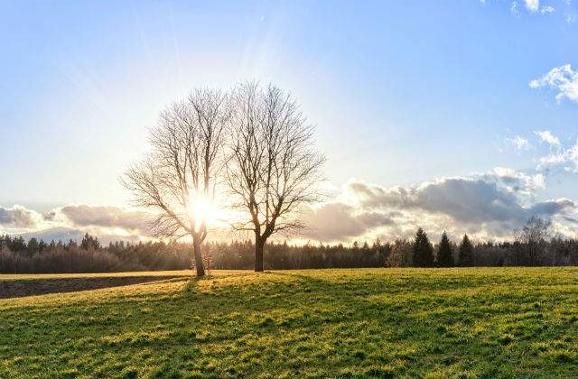Cod portocaliu de canicula in sase judete