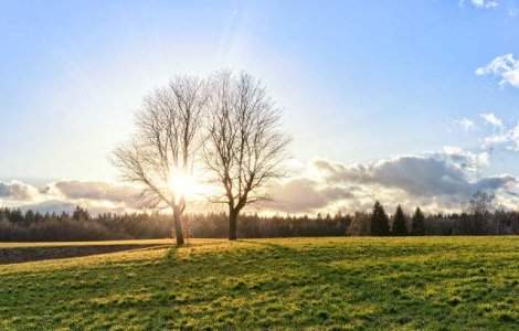 Cod portocaliu de canicula in sase judete