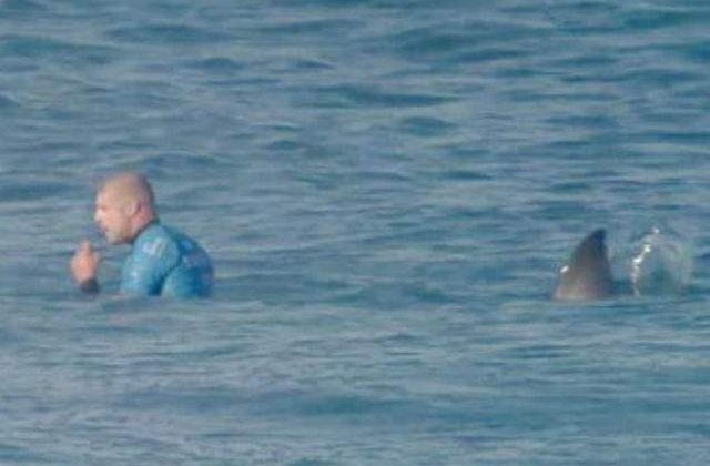 [VIDEO] Surfer atacat de doi rechini in direct la TV. Uite cum a scapat