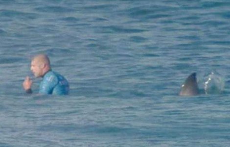 Surfer atacat de doi rechini in direct la TV. Uite cum a scapat