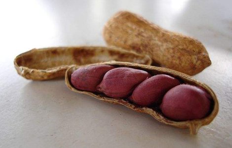 Studiu: Un plasture eficient impotriva alergiilor alimentare, creat de o companie franceza