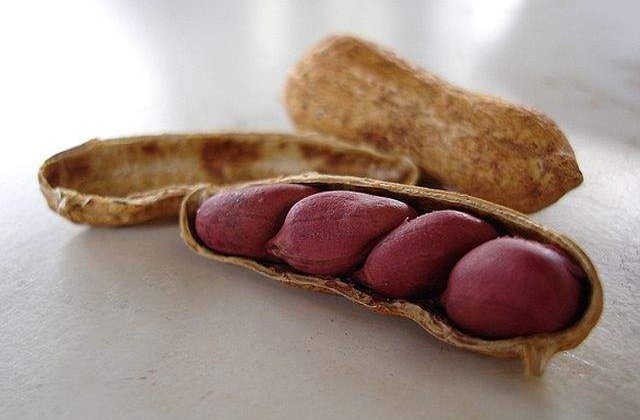 Studiu: Un plasture eficient impotriva alergiilor alimentare, creat de o companie franceza