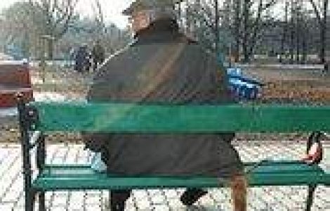 E Lege: Inchisoare pentru schingiuirea animalelor!