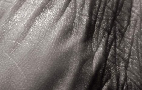 Studiu: Pielea astronautilor devine mai groasa in timpul misiunilor spatiale