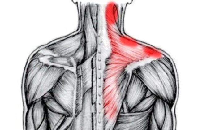 Se poate si fara pastile! Cum scapi de DURERE cu ajutorul alimentelor