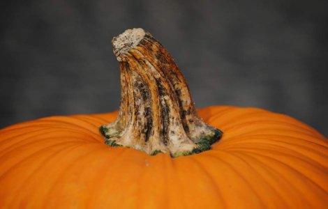  Top  Nu este o simpla leguma! De ce recomanda expertii sa mancam DOVLEAC