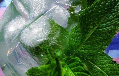  Top  Leacul din batrani, aprobat stiintific! Proprietatile medicinale demonstrate ale MENTEI