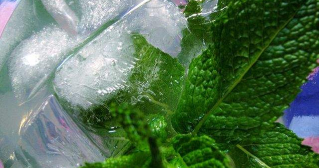  Top  Leacul din batrani, aprobat stiintific! Proprietatile medicinale demonstrate ale MENTEI