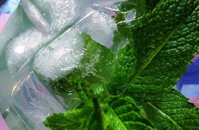 Leacul din batrani, aprobat stiintific! Proprietatile medicinale demonstrate ale MENTEI