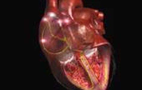 Inima de laborator, pe modelul Frankenstein