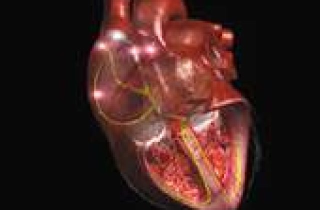 Inima de laborator, pe modelul Frankenstein