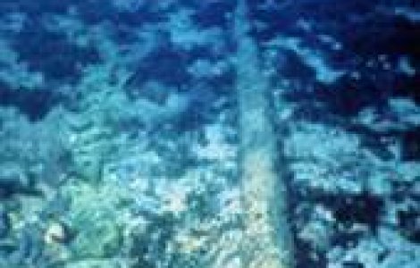 Cablu pe sub Pacific, ce va lega America de Asia!