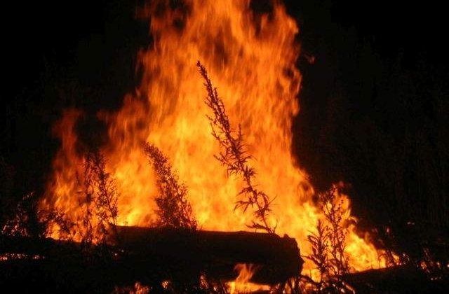 Franta: Circa 10.000 de persoane, evacuate din cauza incendiilor de vegetatie