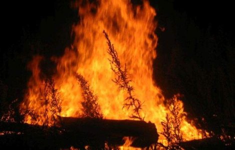 Franta: Circa 10.000 de persoane, evacuate din cauza incendiilor de vegetatie