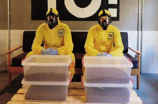 [FOTO] Cea mai tare cafenea: este inspirata din Breaking Bad