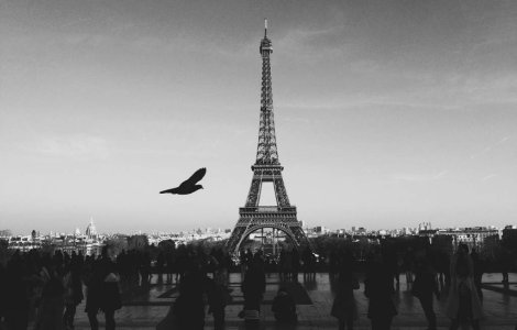 Aproximativ 500 de romi, evacuati din orasele Grenoble si Paris