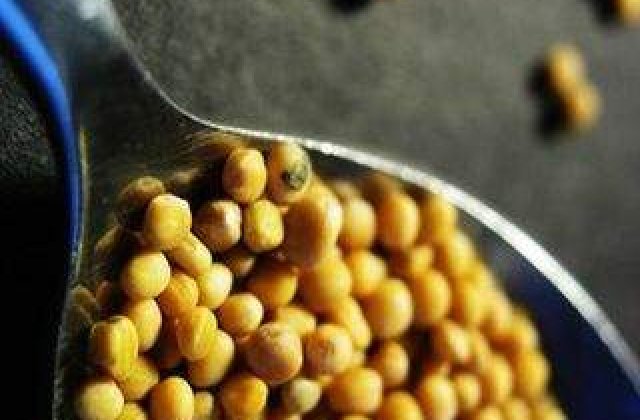 Partile ascunse ale unui aliment banal: Cat de sanatos este MUSTARUL