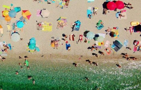 Cum vad pasarile lumea: o perspectiva interesanta, de la inaltime