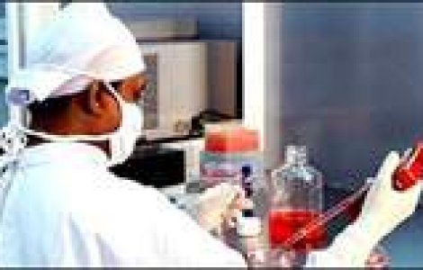 A inceput clonarea de oameni