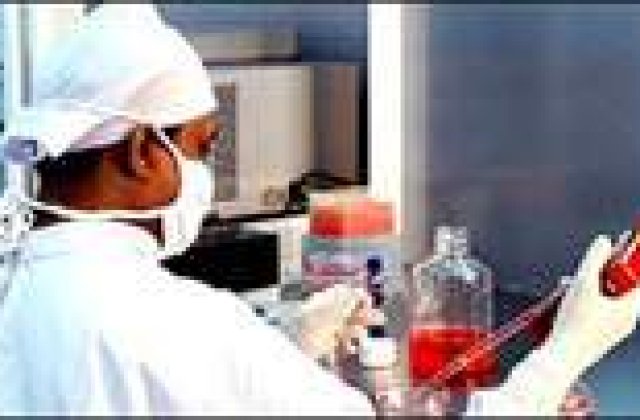 A inceput clonarea de oameni