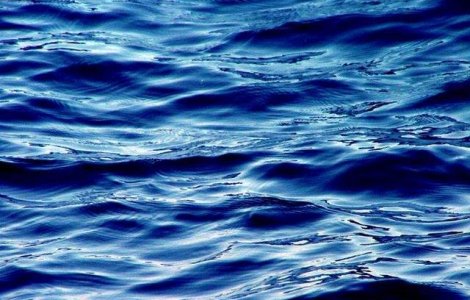 Cinci imigranti au murit si alti 1.800 au fost salvati de autoritati