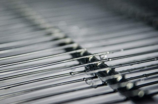 Pericol de imbolnavire! Alimente pe care trebuie sa le arunci URGENT din frigider