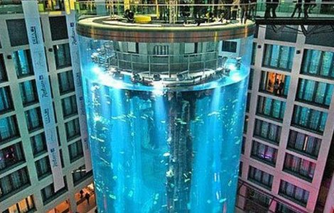  Foto  Cel mai impresionant acvariu: are 82 metri inaltime si 1.500 pesti